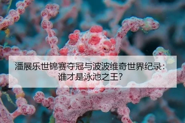 潘展乐世锦赛夺冠与波波维奇世界纪录：谁才是泳池之王？