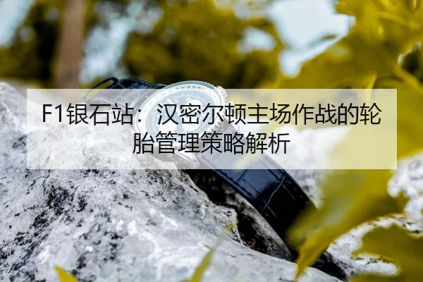 yin-shi-zhan-han-mi-er-dun-zhu-chang-zuo-zhan-de-lun-tai-guan-li-ce-lve-jie-xi-3-672.jpg