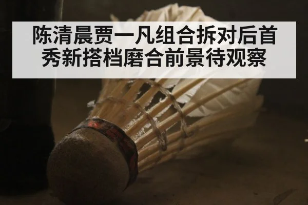 陈清晨贾一凡组合拆对后首秀新搭档磨合前景待观察